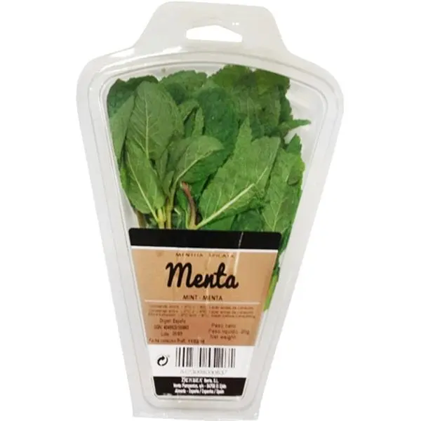 Ervas Aromáticas