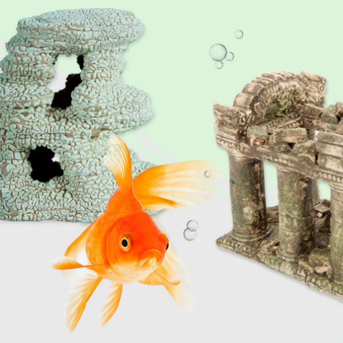 Accesorios y Complementos Peces