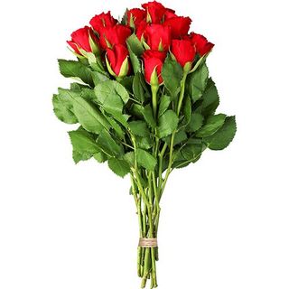 Róże (30cm) bukiet 13 sztuk Kenia