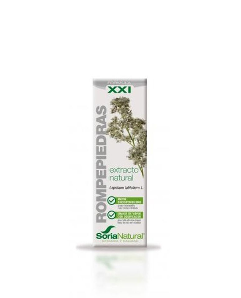 Sistema Inmunológico y Remedios Naturales