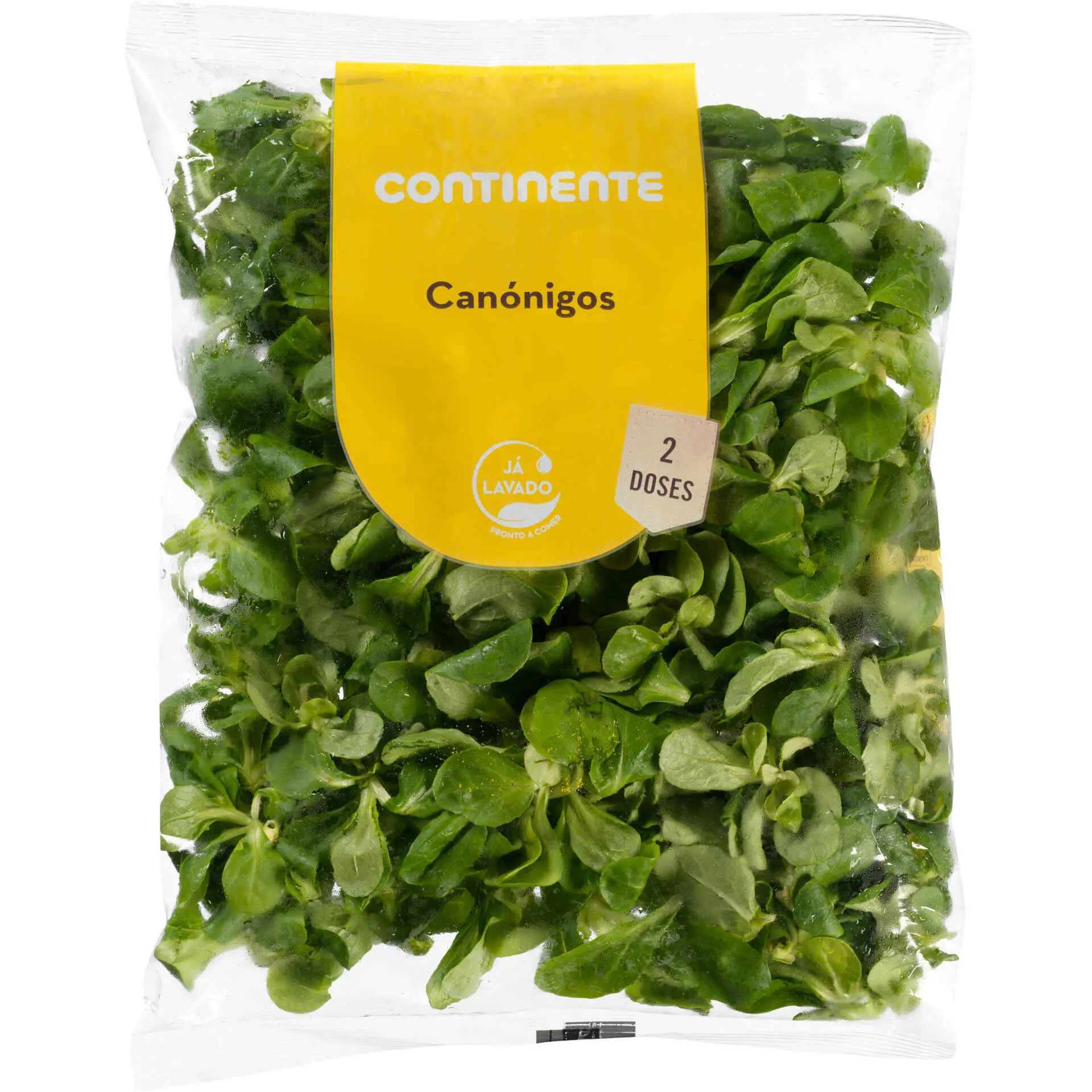Salada, Preparados e Salteados