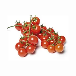 Pomodoro Ciliegino Bio Gr.500