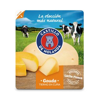 Castillo queso gouda cuña 325 gr