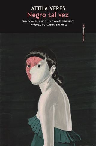 Negro Tal Vez (9788410249202)