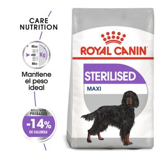 Royal Canin Sterilised Maxi Pienso Para Perros 12Kg