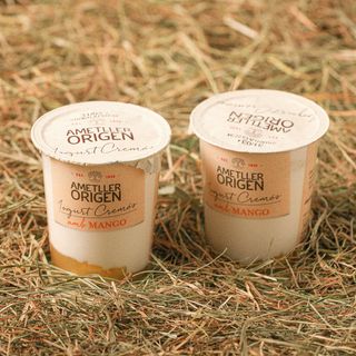 Iogurt Bicapa Mango Ametller Origen 125G 2U