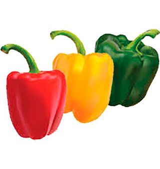Pimiento Tricolor 500G