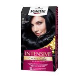 Palette Intensive Creme Color 1.1 Negro Azulado 1351060