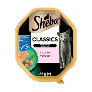 Sheba Classics Karma dla kota w terynie z łososiem 85 g