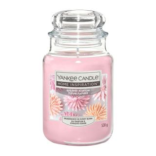 Sugared Blossom, candela in giara grande - Yankee Candle