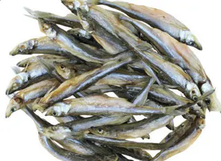 Stynka suszona 1 porcja ok 100g, cena za 1kg: 97.9 zł