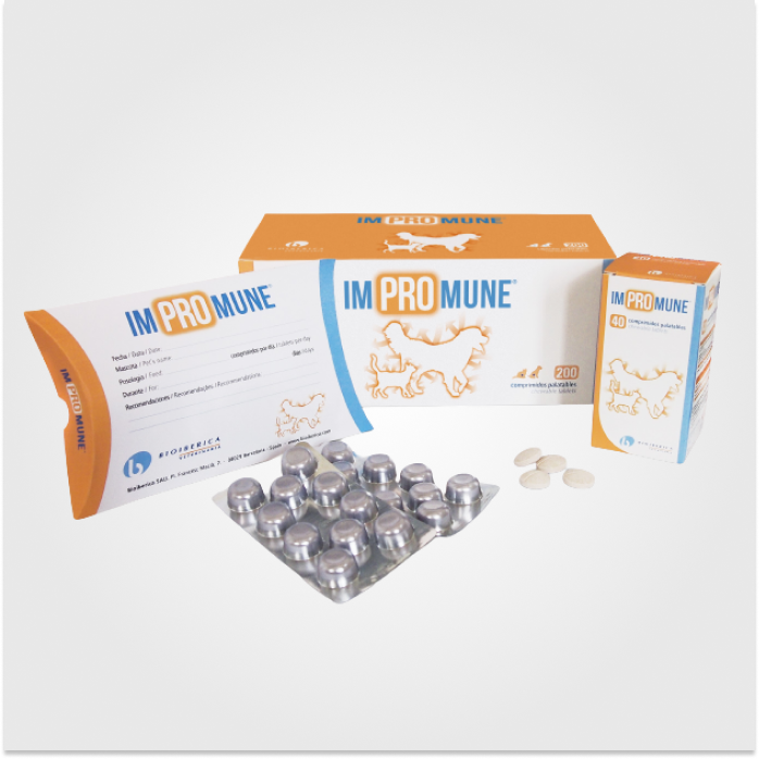 Alimentos Complementarios