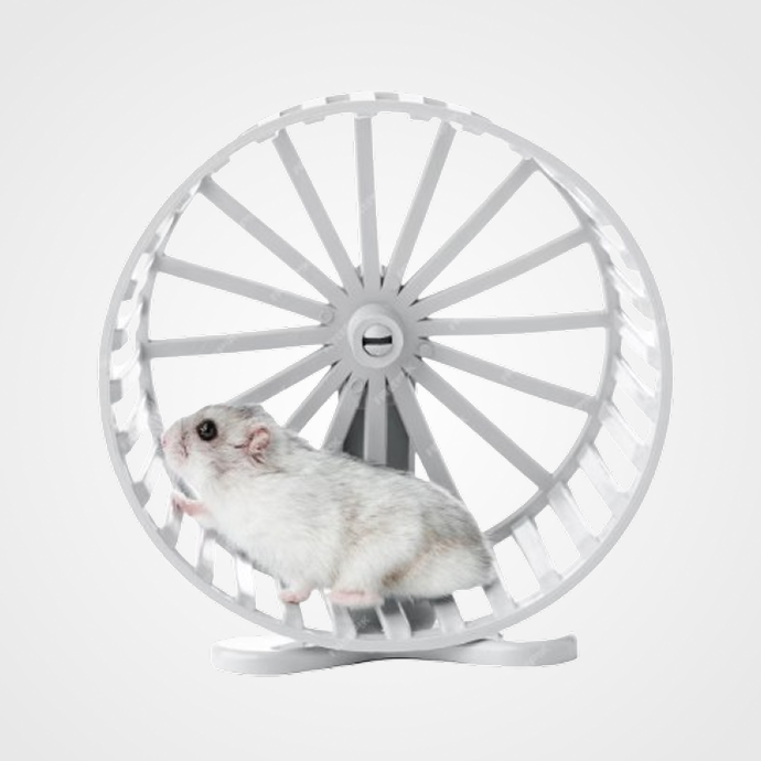 Accesorios y Complementos Roedores