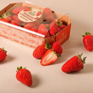 Maduixot De Muntanya - Safata 500G