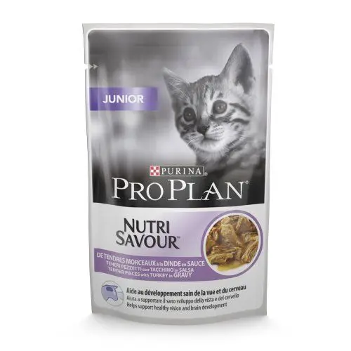 Alimentação Húmida Gato
