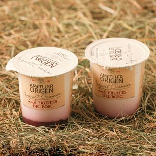 Iogurt Bicapa Fruits Bosc Ametller Origen 125G 2U.