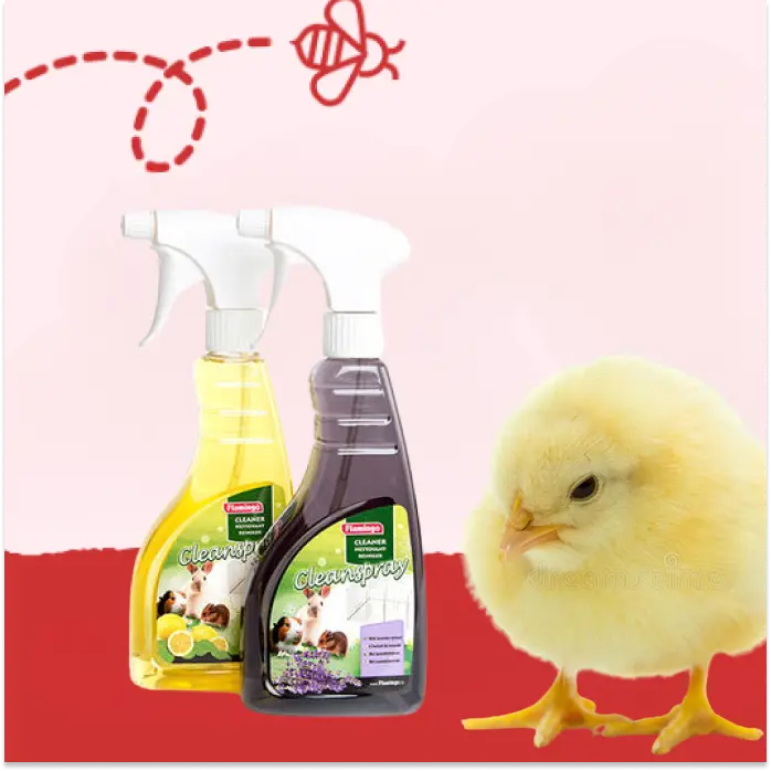 Cuidado Pájaros