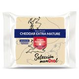 Queso Cheddar Extra Mature Selección Mundial De Dia Bolsa 200 G