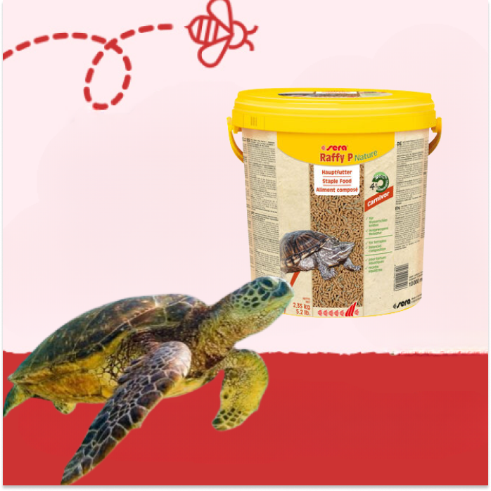 Alimentación Reptiles