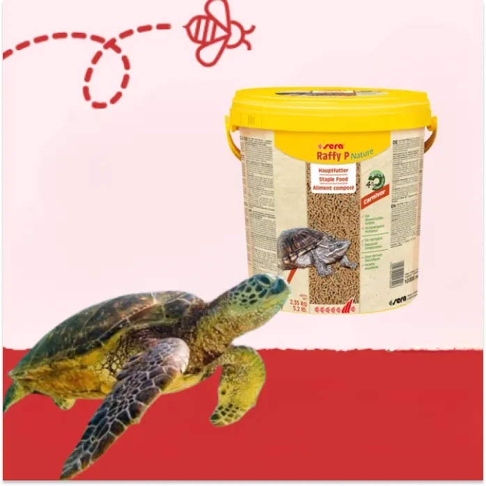 Alimentación Reptiles