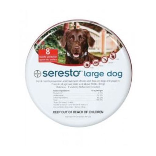 Acessórios Cachorro