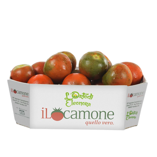 Pomodori Camone 500 g