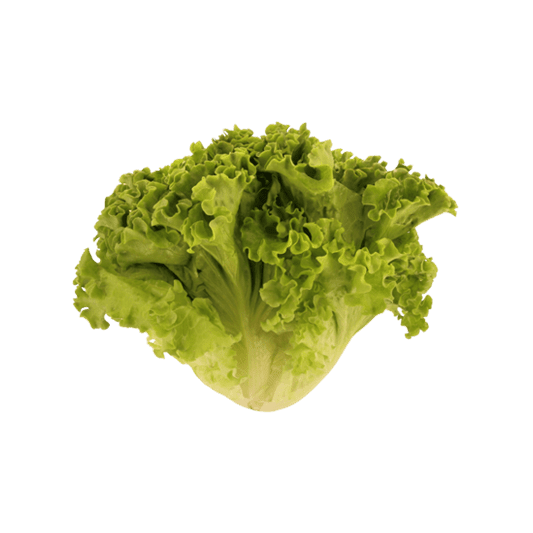 Salada, Preparados e Salteados