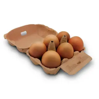 Huevos L 6u