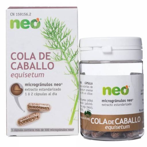 Sistema Inmunológico y Remedios Naturales