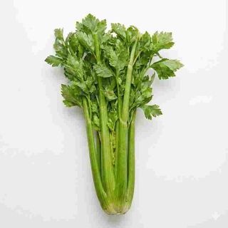 Seler Naciowy Bio 1 Sztuka 400g