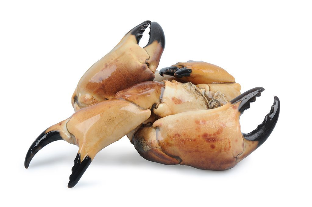 Sapateira, Santola e Carangueijo