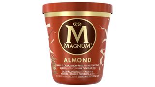 Magnum - Lody waniliowe z mleczną czekoladą i migdałami - 440 ml