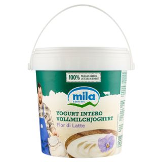 Yogurt Fiordilatte SDC 1Kg