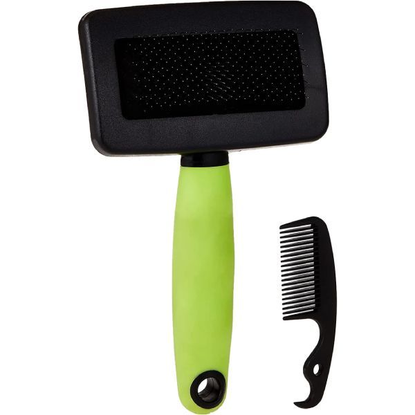 Saúde e Higiene Gato