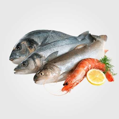 Pescado y Marisco