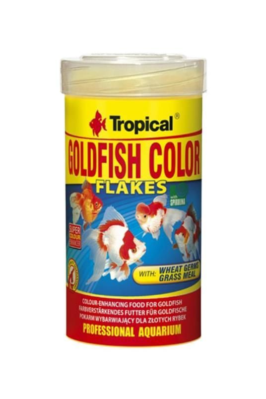 Alimentação Peixes
