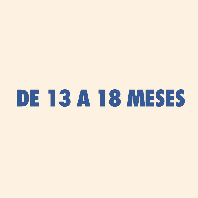 13 a 18 meses
