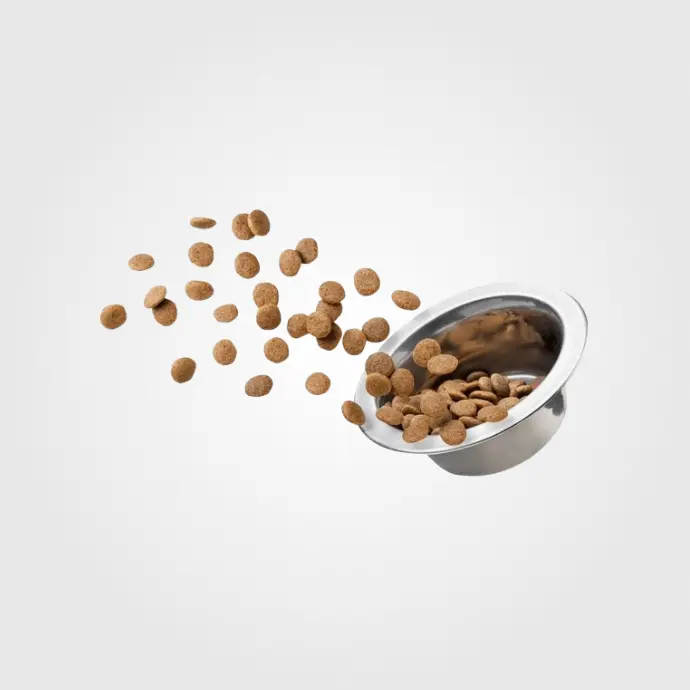 Pet Food