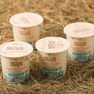 Iogurt Cremós Ensucrat Ametller Origen 125G - 4U