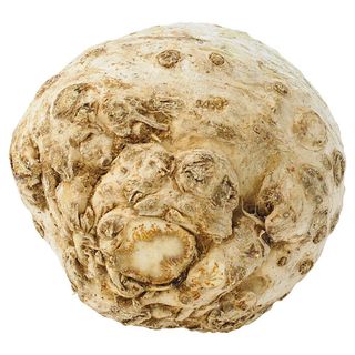 Seler Korzeń, 1 szt. ok. 1 kg