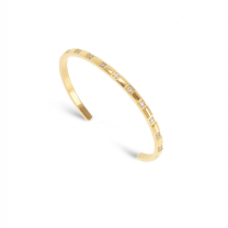 Pulseiras Rígidas