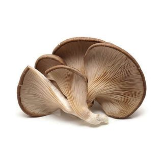 Setas en bandeja 200 g