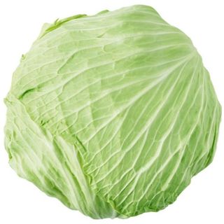 Kapusta na gołąbki ok. 2.2 kg