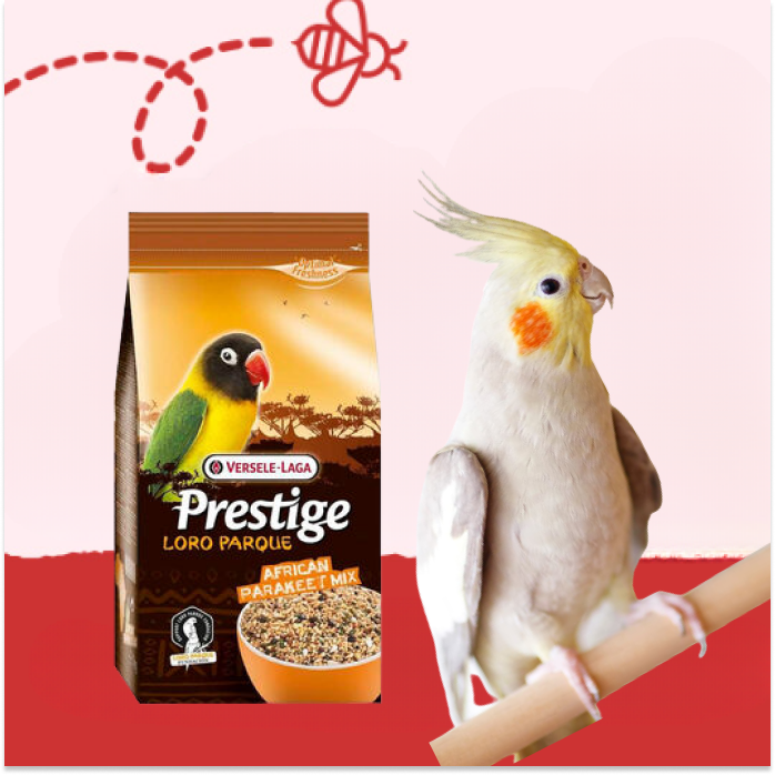 Alimentación Aves