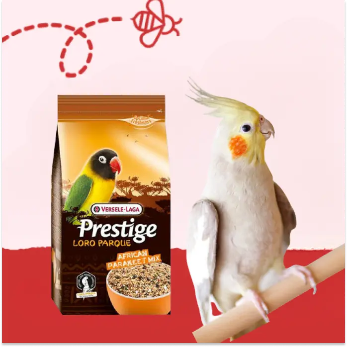 Alimentación Pájaros