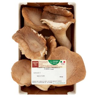 SAPORI & IDEE CONAD Percorso Qualità Funghi Coltivati Cardoncelli 200 g - 8003170084445