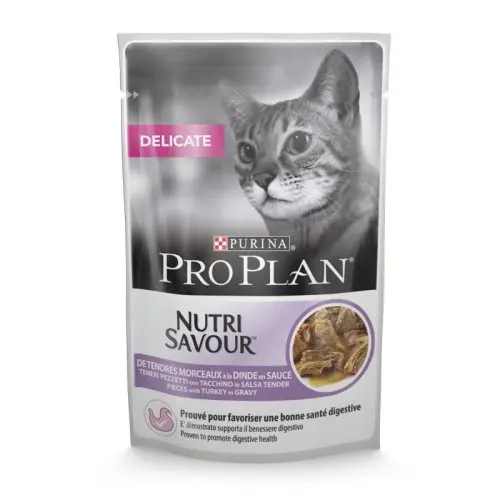 Alimentação Húmida Gato
