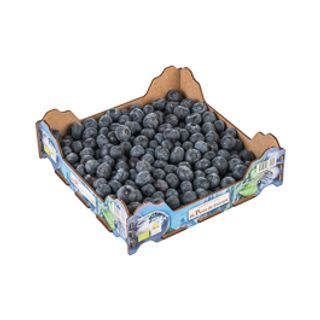 Arándanos Bandeja 400gr ECO