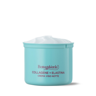 REFILL COLL NOTTE 50M