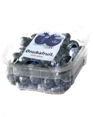 Mirtilos emb. 250 g